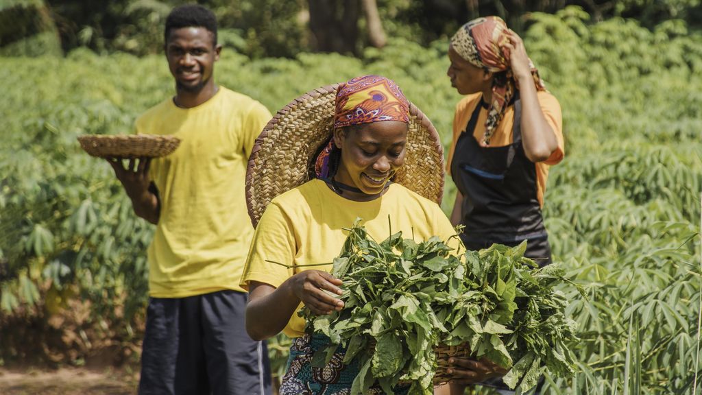 Un groupe d'agriculteurs réunis dans un champ de manioc, l'une tenant une botte de feuilles