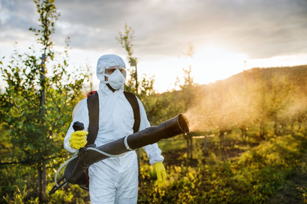 Operator in a hooded protective coverall, safety goggles, respirator mask and yellow gloves, spraying with a backpack mist blower in an orchard