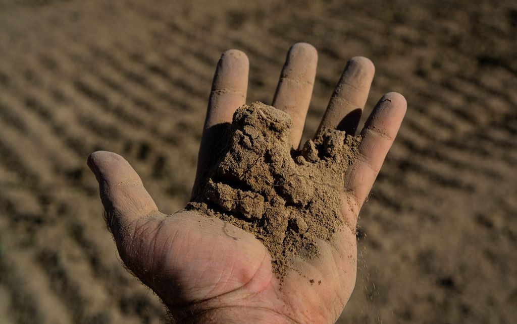 A handful of soil in a farmer's hand above a tilled plot
