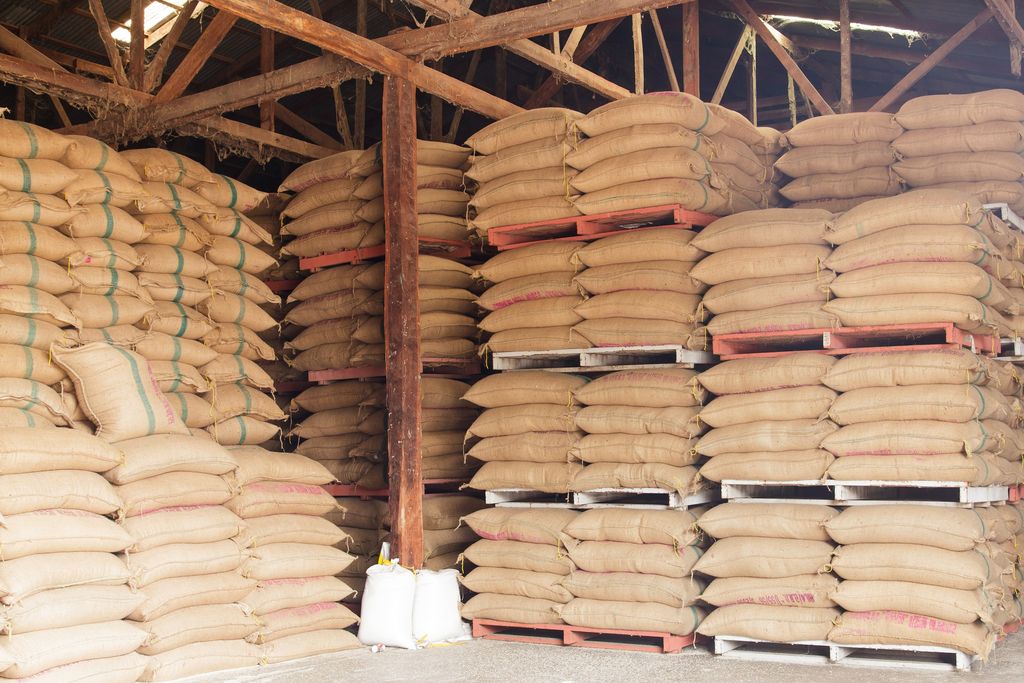 Rows of jute sacks of grain neatly stacked on wooden pallets inside a timber-framed warehouse