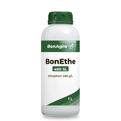 BonEthe 480 SL pack