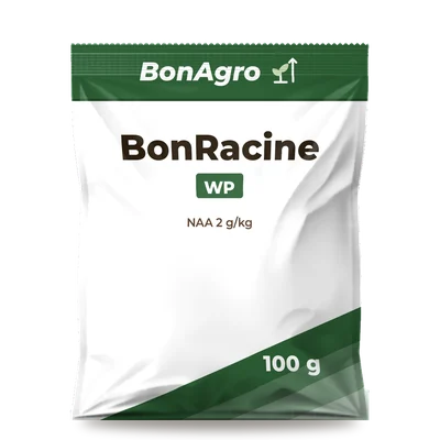 BonRacine WP pack